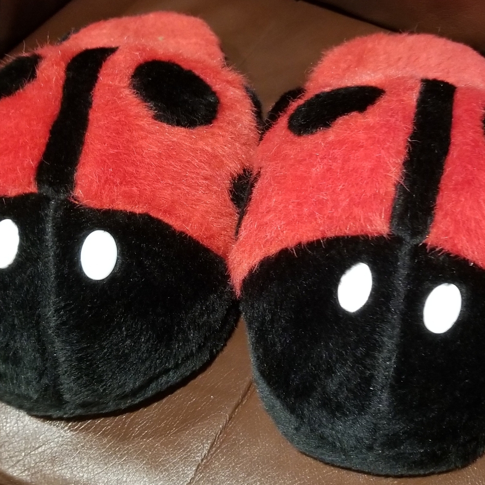 Women's Lady Bug Slippers